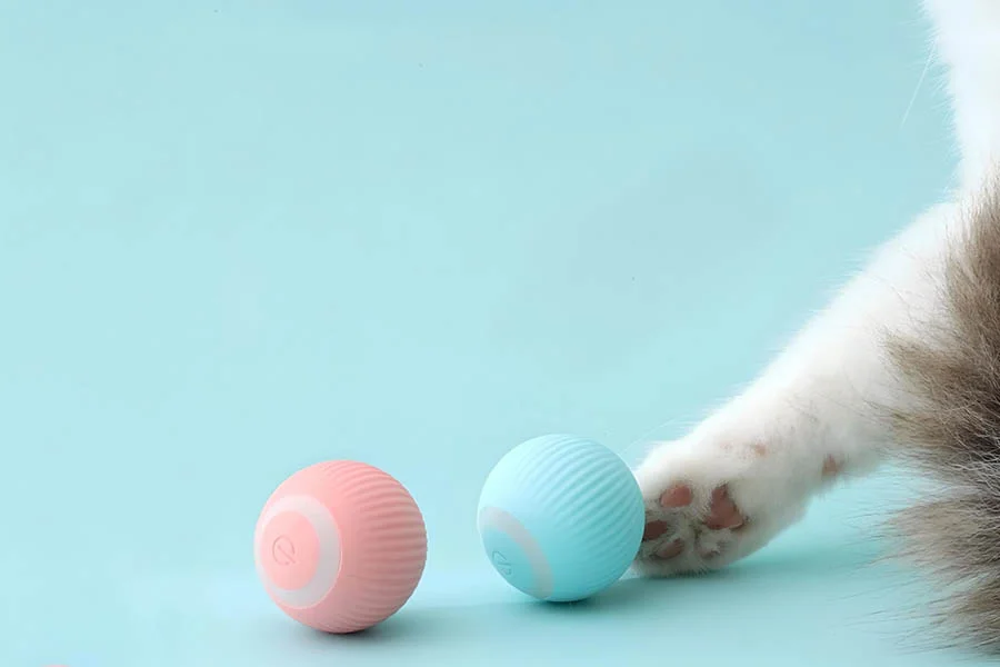 interactive cat ball